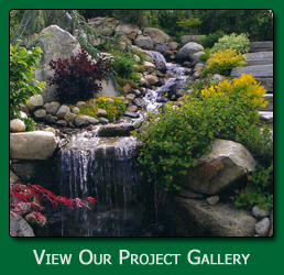 Commercial & HOA Lawn Care