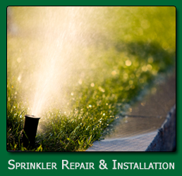 Sprinkler Repair & Installation